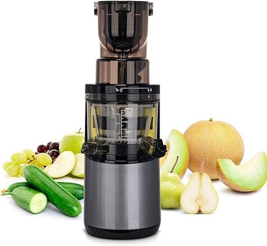 batidora biochef living food blender